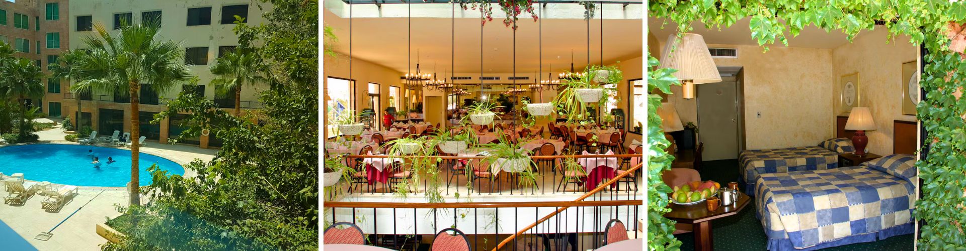 Petra Palace Hotel Petra Palace Hotel